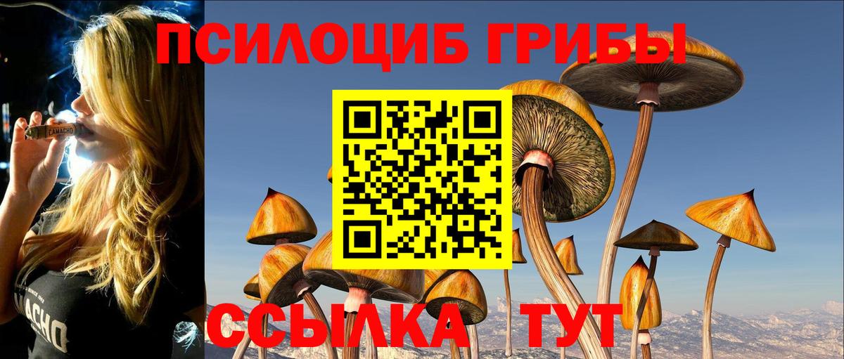 Курган  Псилоцибиновые грибы MAGIC MUSHROOMS  Галлюциногенные грибы Magic Shrooms  Вход с VPN 